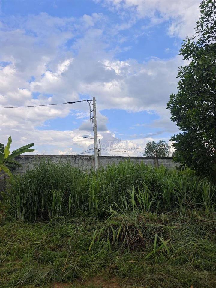 đất nền thổ cư 316m2 gần kcn minh hưng