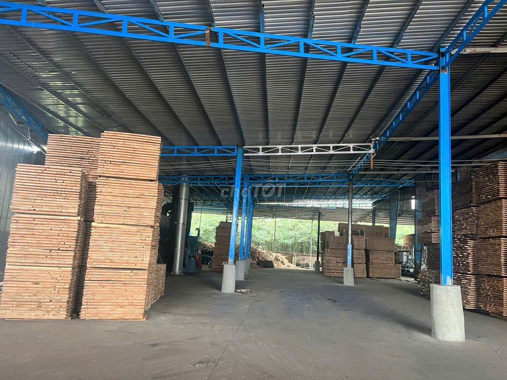 BÁN XƯỞNG BÌNH DƯƠNG, ĐANG CHO THUÊ 380TR/THÁNG, 75TỶ CÒN THƯƠNG LƯỢNG