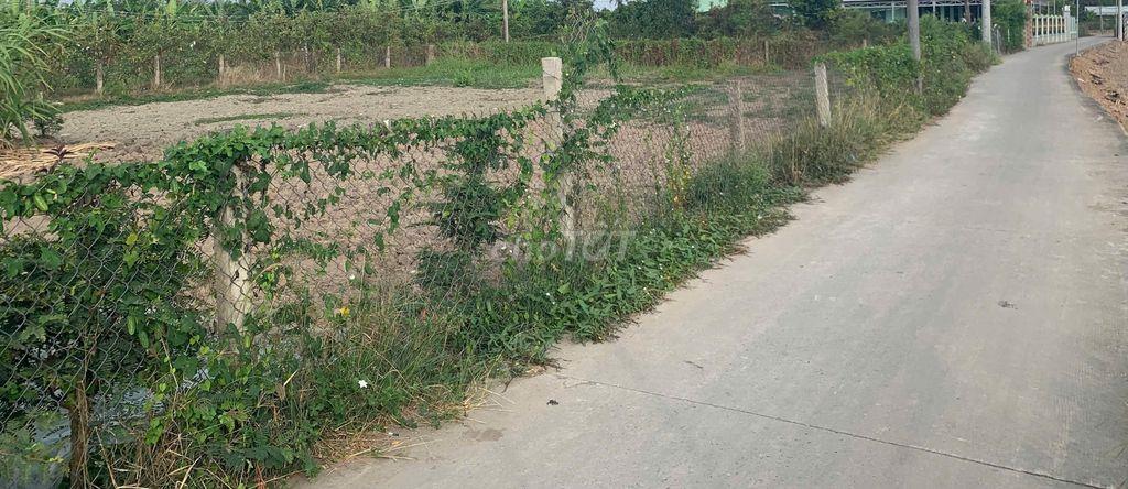 Cần bán gấp 01 nền đất SHR, 100% thổ cư