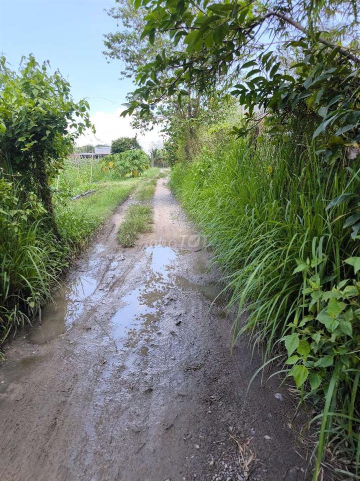 Mặt tiền Trịnh Phong Đáng nối dài