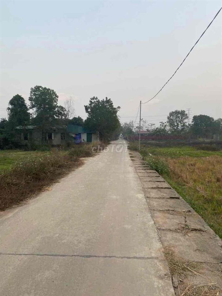 Cần bán gấp đất trồng lúa Ngọc Mỹ