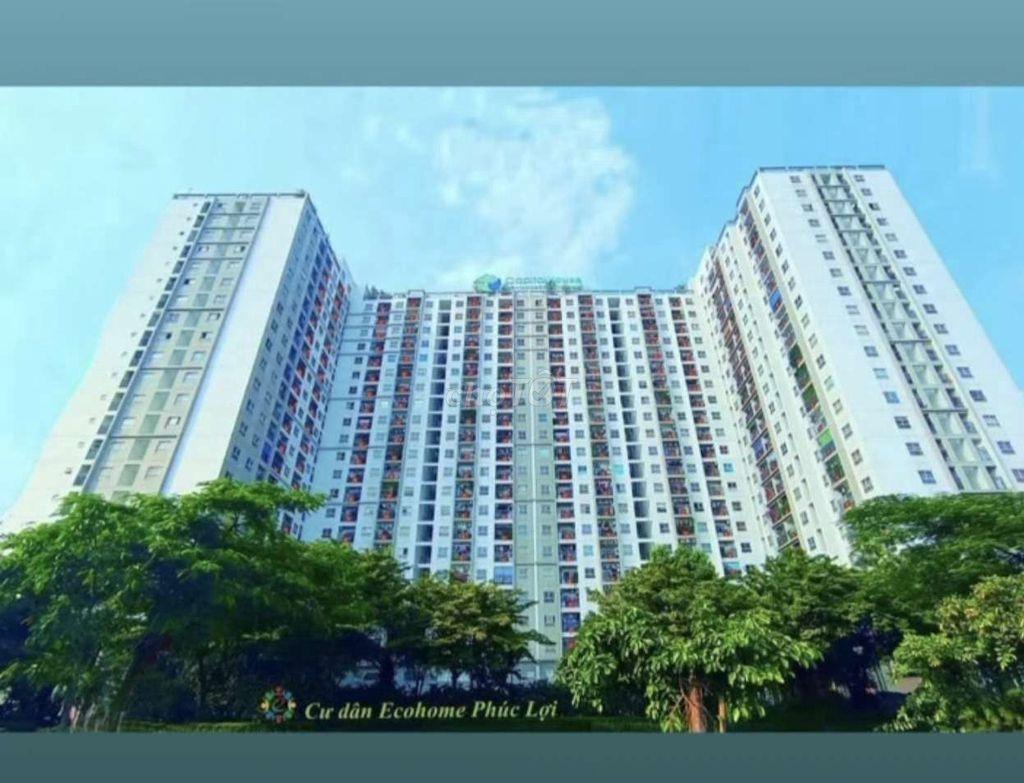 Cho thuê căn hộ Ecohome Phúc Lợi