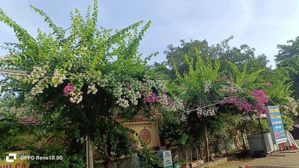 Cần Bán Nhà Mặt Đường Lớn Quang trung - Thanh Hoá.