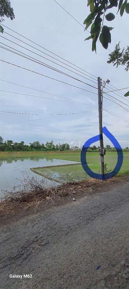 cho thuê đất cây lâu năm Bình Đức