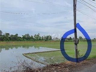 cho thuê đất cây lâu năm Bình Đức