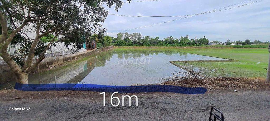 cho thuê đất cây lâu năm Bình Đức