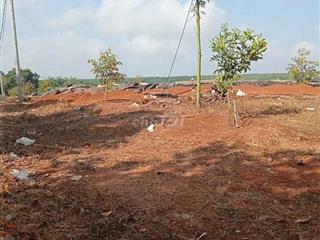 CHÍNH CHỦ CẦN BÁN VƯỜN SẦU RIÊNG 16000M2