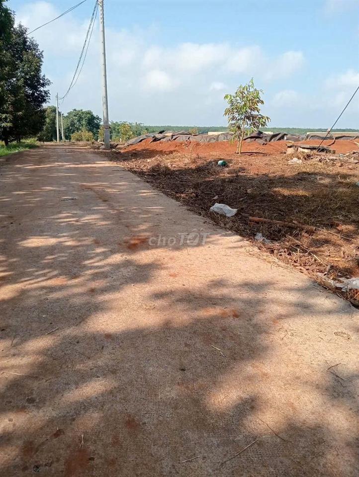 CHÍNH CHỦ CẦN BÁN VƯỜN SẦU RIÊNG 16000M2