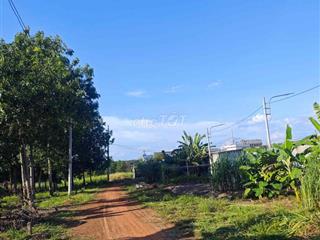 đất có thổ cư chính chủ