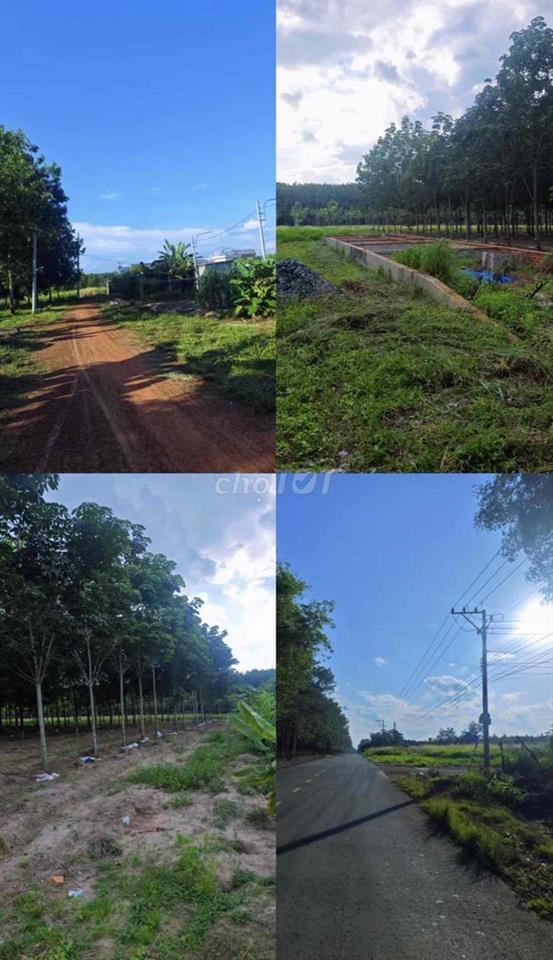 đất có thổ cư chính chủ