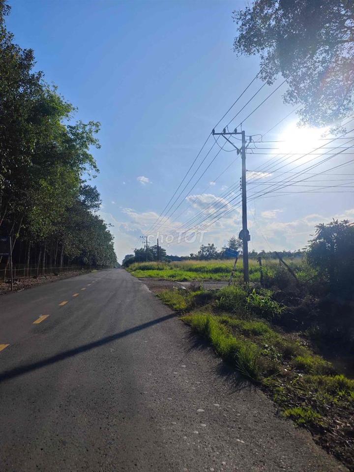 đất có thổ cư chính chủ