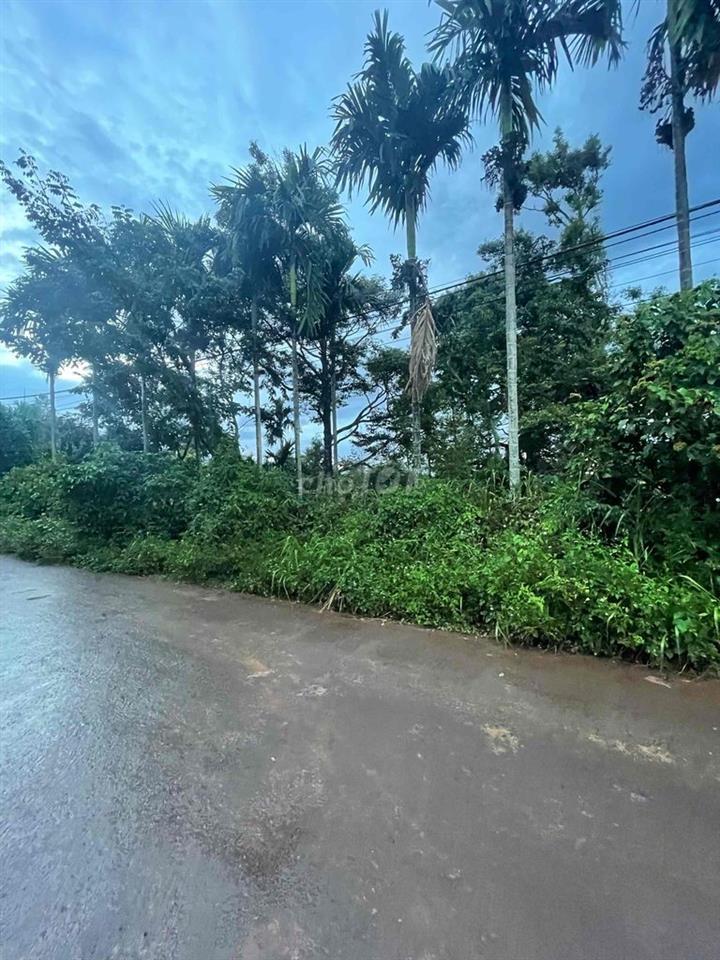 Bán đất chính chủ - Phường Tân Lập