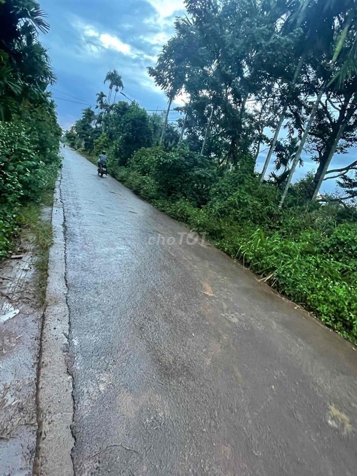 Bán đất chính chủ - Phường Tân Lập
