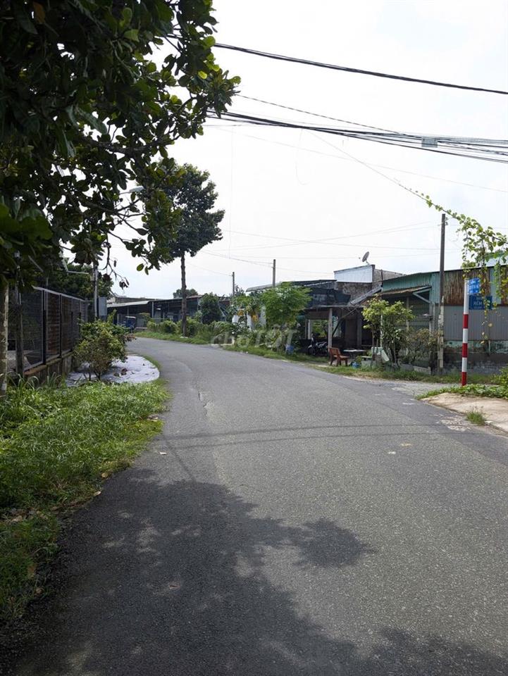 ĐẤT FULL THỔ CƯ 253M2( 9x29m ) Giá 520 Triệu tại Tân Thông Hội, Củ Chi