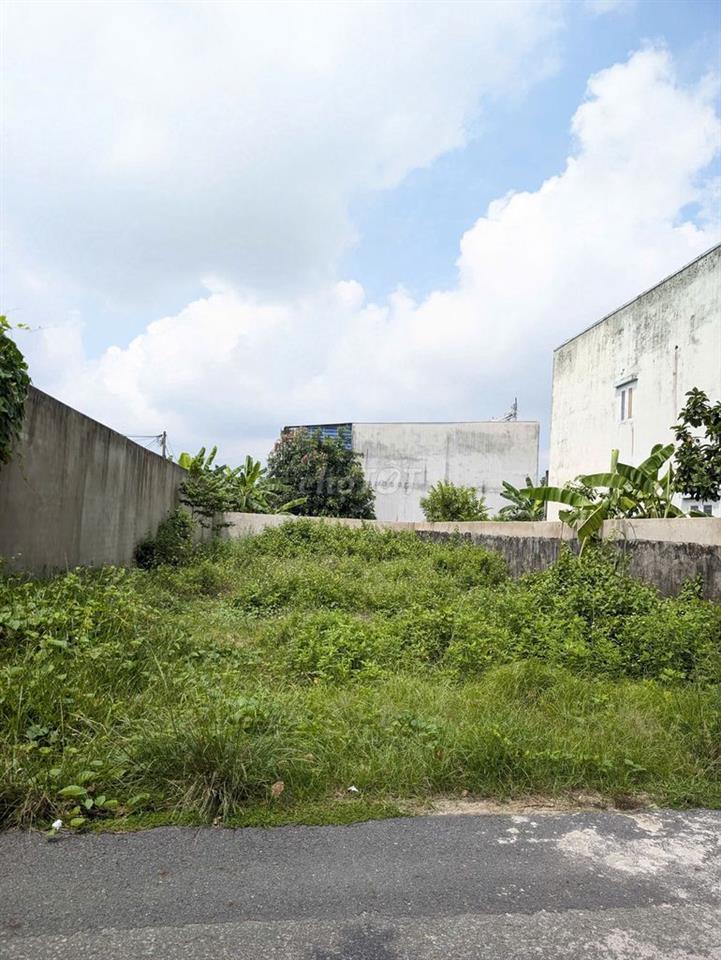ĐẤT FULL THỔ CƯ 253M2( 9x29m ) Giá 520 Triệu tại Tân Thông Hội, Củ Chi