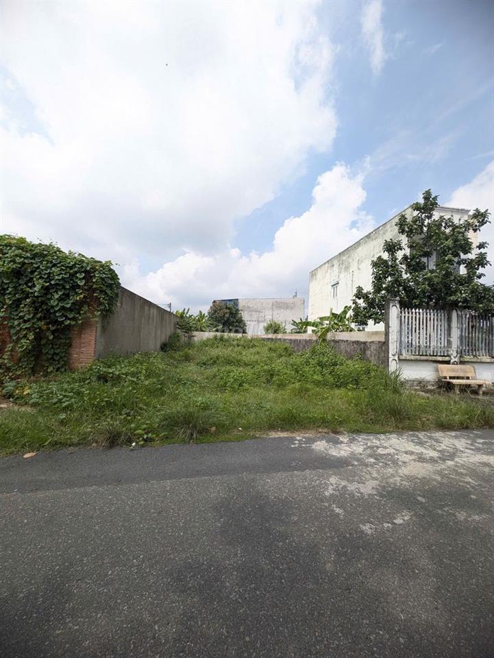 ĐẤT FULL THỔ CƯ 253M2( 9x29m ) Giá 520 Triệu tại Tân Thông Hội, Củ Chi
