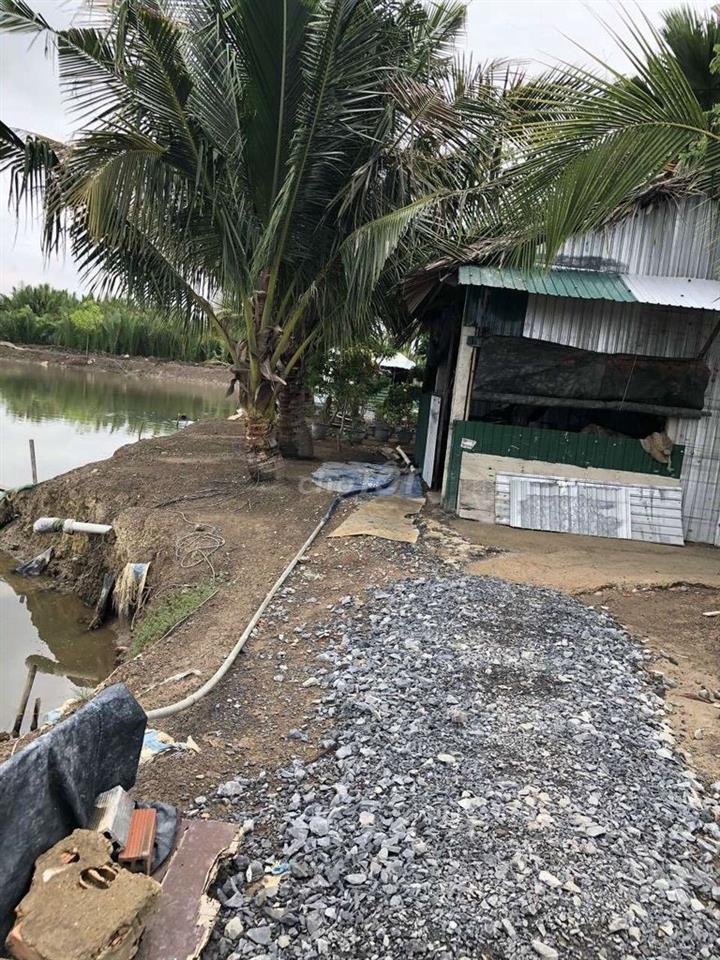 bán đất nông nghiệp