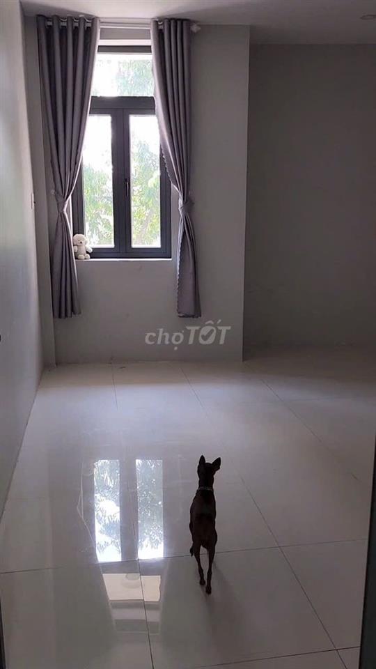 Định cư nn bán 1 căn 2 mặt tiền trục 30/4 gò đậu  nhà mới 2 căn L
