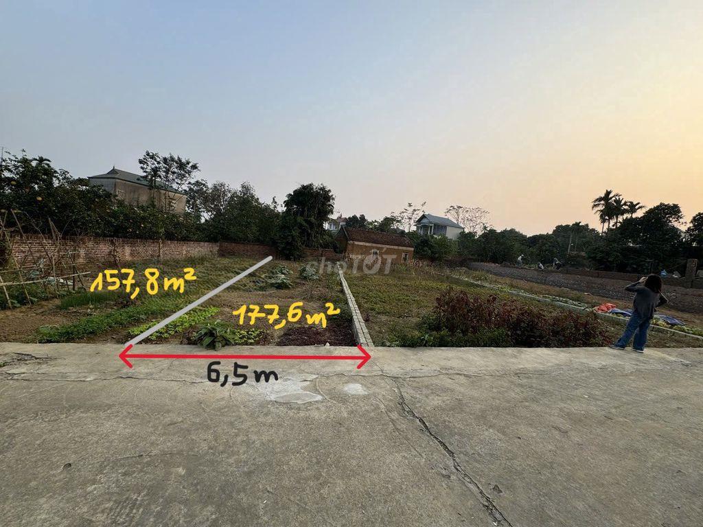 LÔ ĐẤT THÔN 2 PHÚ CÁT, FULL THỔ CƯ
