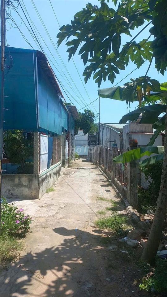 BÁN ĐẤT LONG HẢI – CÁCH BIỂN CHỈ 1KM – QUY HOẠCH ĐƯỜNG LỚN MỞ MẶT TIỀN