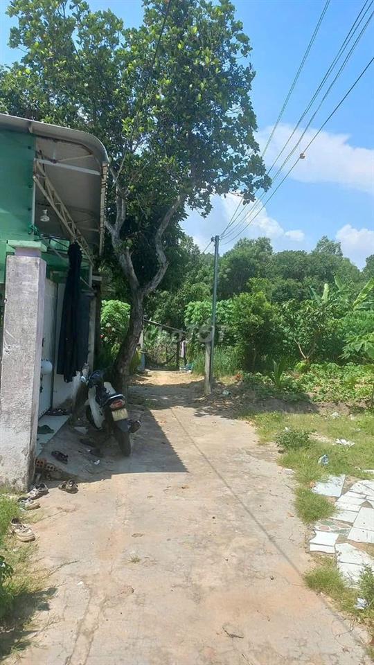 BÁN ĐẤT LONG HẢI – CÁCH BIỂN CHỈ 1KM – QUY HOẠCH ĐƯỜNG LỚN MỞ MẶT TIỀN