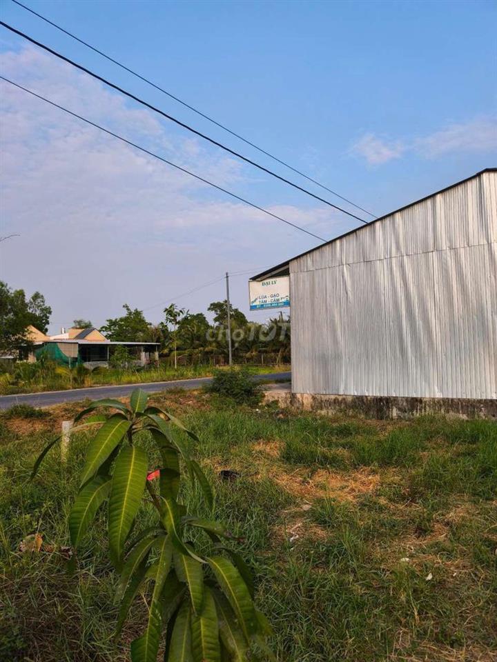 Nền mặt tiền đường Phú Đức - Long An