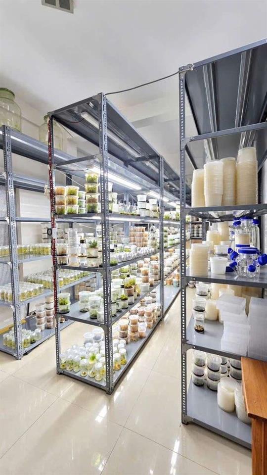 Nhà bộ công an sổ hồng riêng 77m vuông