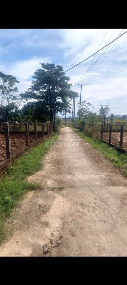 Cần tiền bân đất ở Điện tiến Đà nẵng