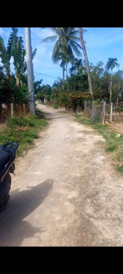 Cần tiền bân đất ở Điện tiến Đà nẵng