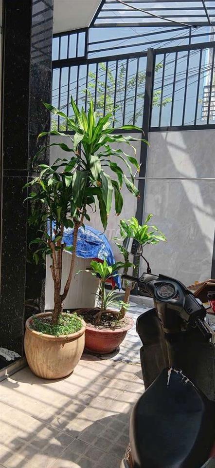 nhà bán,có phí hoa hồng