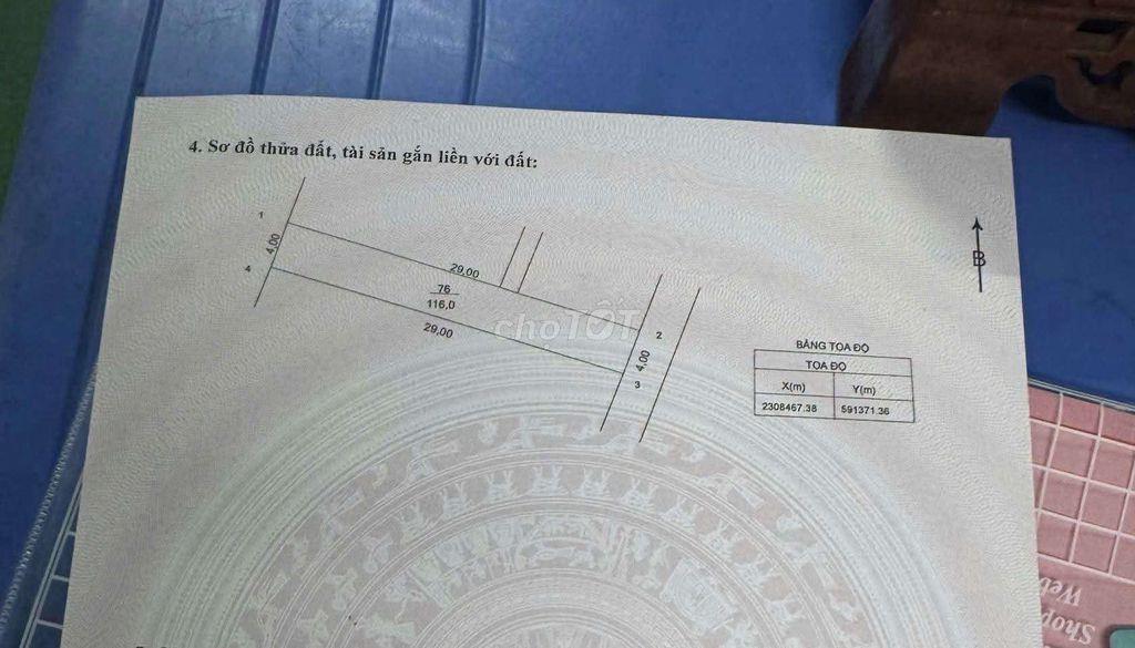 Bán đất 116m2 phân khu C Vin Olimpic, Đường ô tô tránh