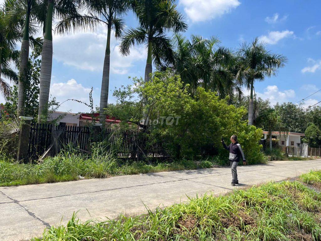 BÁN ĐẤT CÓ NHÀ XƯỞNG TẠI CỦ CHI – 2.500 M² CÓ 1.990 M² ĐẤT Ở