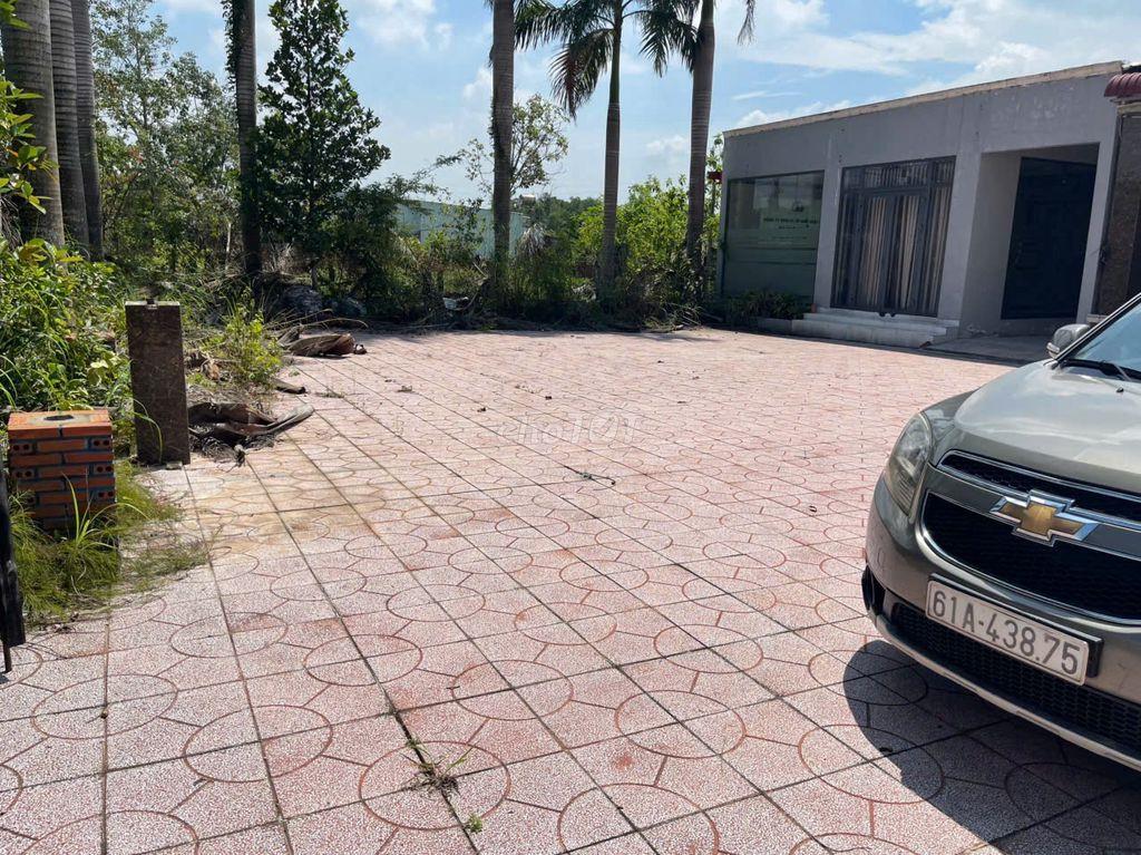 BÁN ĐẤT CÓ NHÀ XƯỞNG TẠI CỦ CHI – 2.500 M² CÓ 1.990 M² ĐẤT Ở