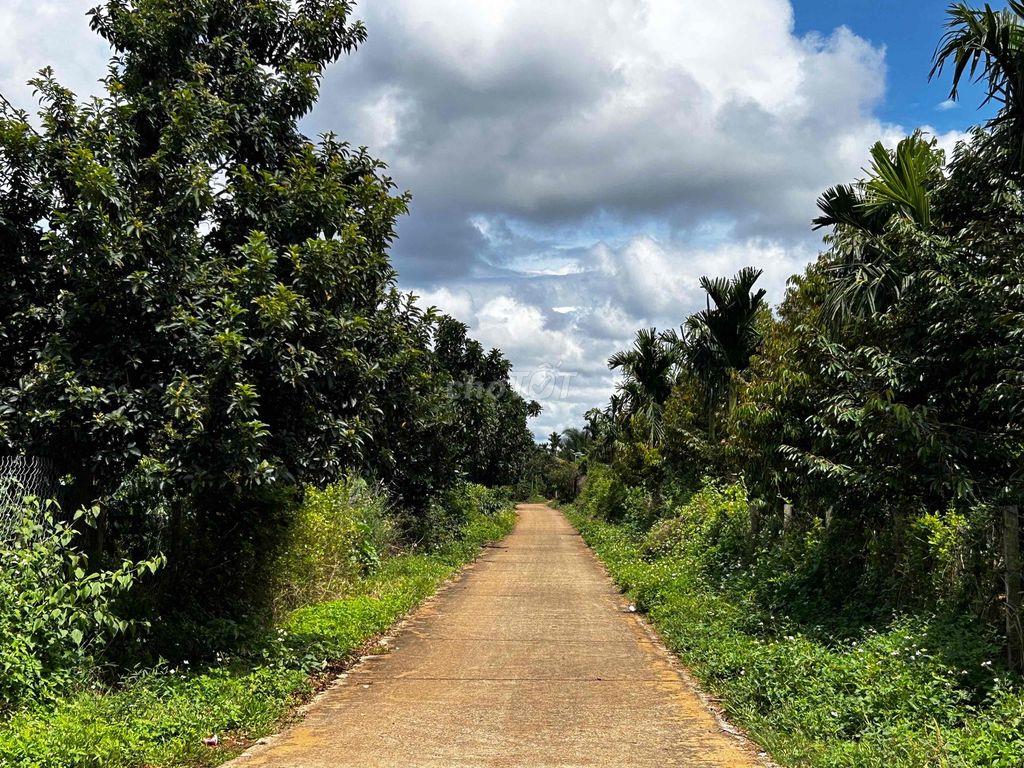 Bán lô đất cạnh đường tránh đông
