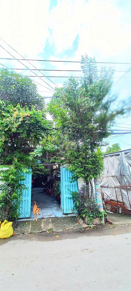 Bán nhà mặt tiền lộ 8m cách ngã tư QL50-cao tốc BL-LT khoảng 500m