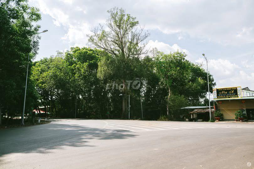 Bán 5000m² đất ĐT.793, cách Ngã 3 Xe Cháy đúng 200m (Sổ sẵn)