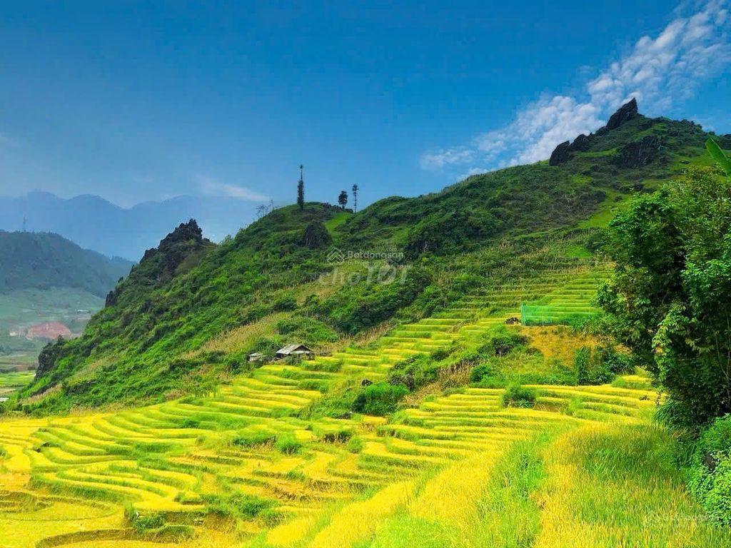 CHÍNH CHỦ CẦN BÁN LÔ ĐẤT RỘNG 3,95HA,TẢ PHÌN, TRUNG TÂM SA PA CHỈ 8KM