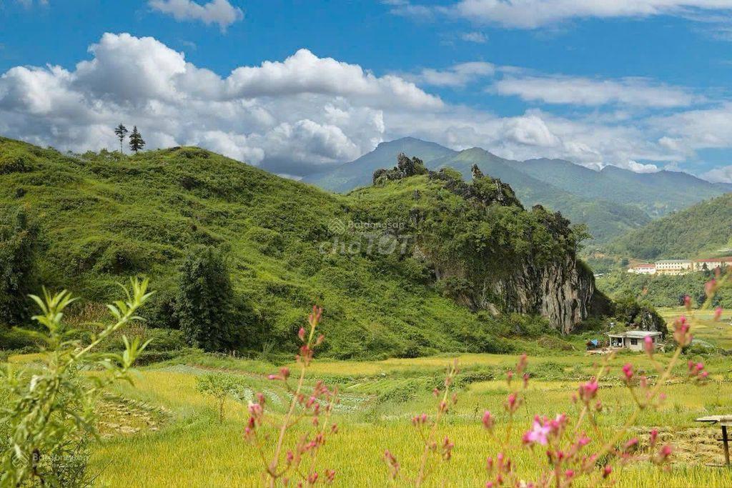 CHÍNH CHỦ CẦN BÁN LÔ ĐẤT RỘNG 3,95HA,TẢ PHÌN, TRUNG TÂM SA PA CHỈ 8KM