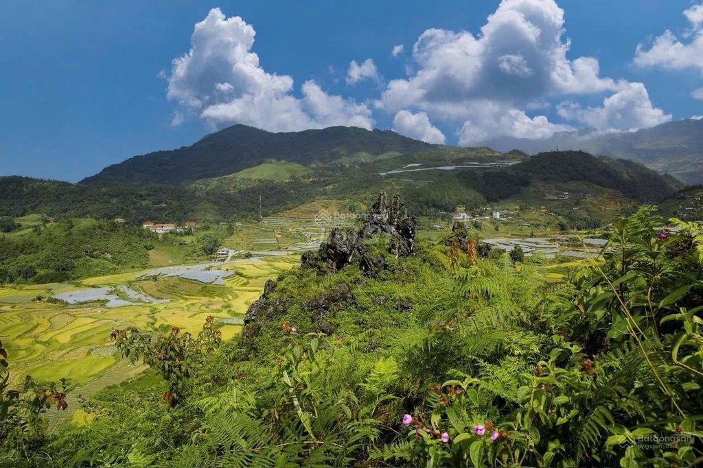 CHÍNH CHỦ CẦN BÁN LÔ ĐẤT RỘNG 3,95HA,TẢ PHÌN, TRUNG TÂM SA PA CHỈ 8KM