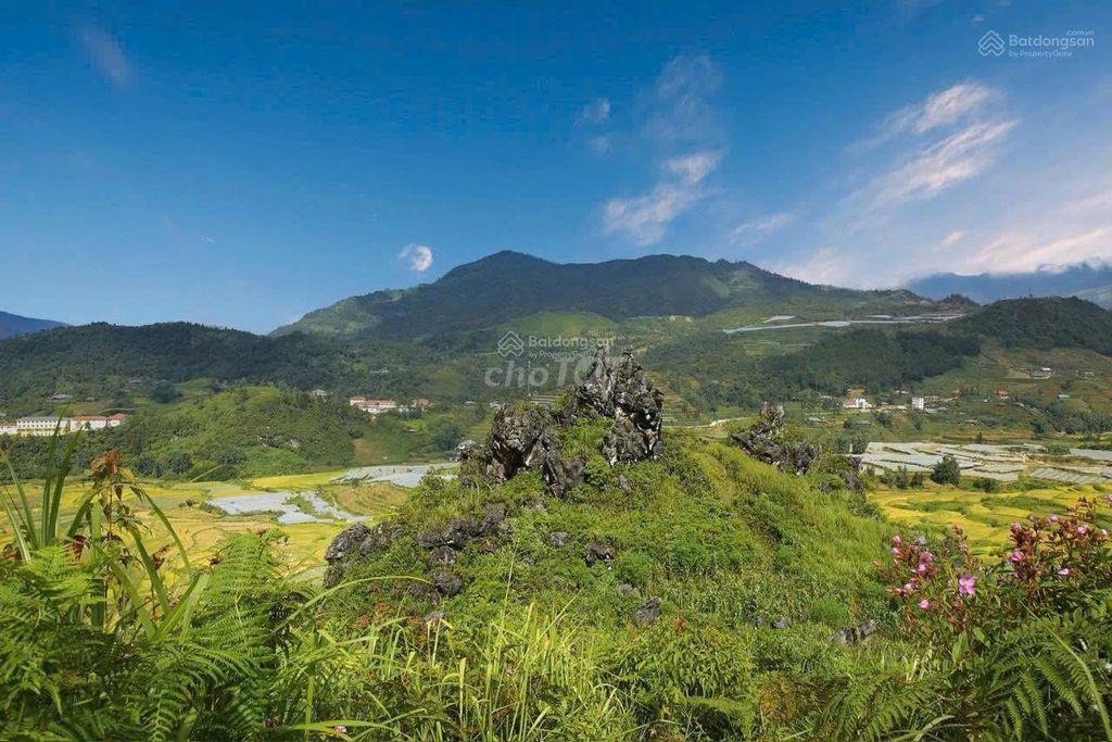 CHÍNH CHỦ CẦN BÁN LÔ ĐẤT RỘNG 3,95HA,TẢ PHÌN, TRUNG TÂM SA PA CHỈ 8KM