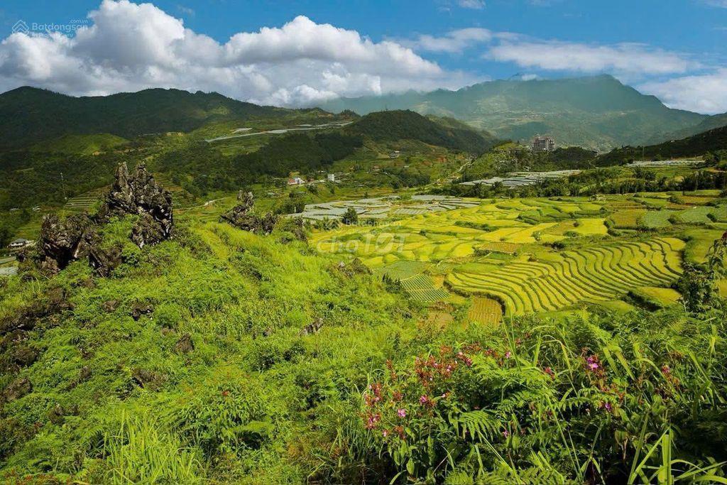 CHÍNH CHỦ CẦN BÁN LÔ ĐẤT RỘNG 3,95HA,TẢ PHÌN, TRUNG TÂM SA PA CHỈ 8KM