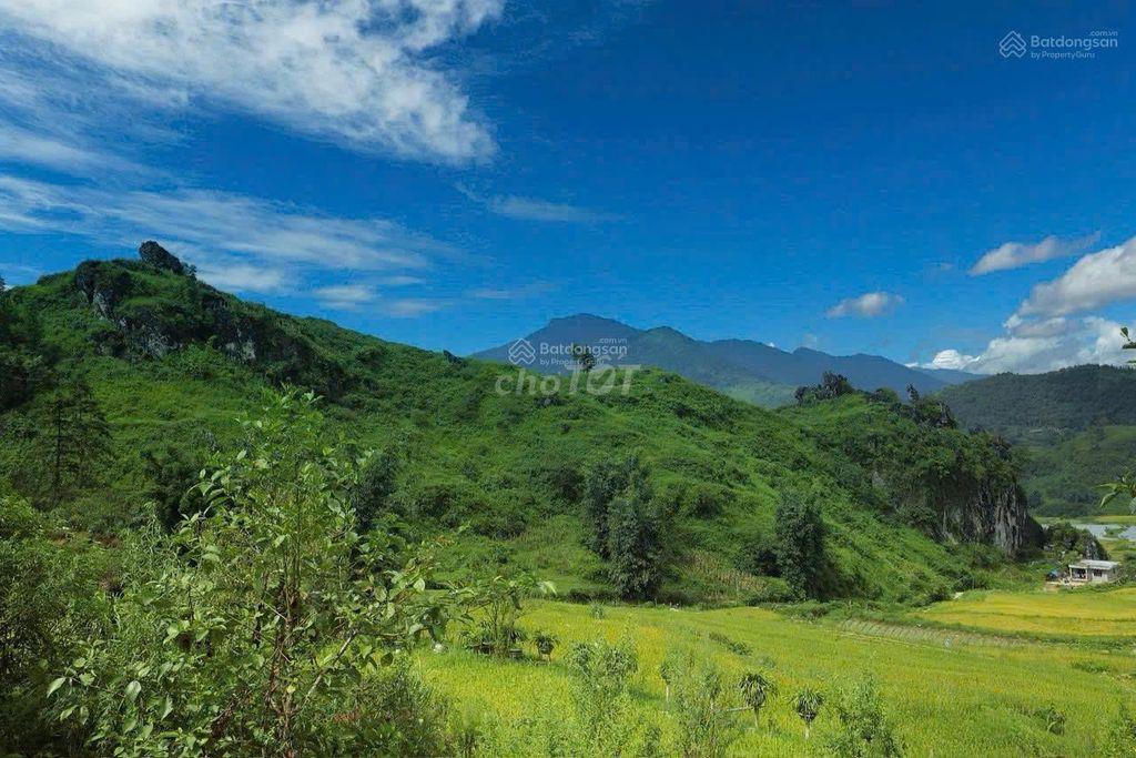 CHÍNH CHỦ CẦN BÁN LÔ ĐẤT RỘNG 3,95HA,TẢ PHÌN, TRUNG TÂM SA PA CHỈ 8KM