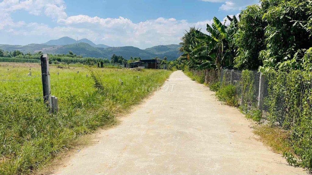Đất Diên Thọ Khánh Hoà đường lớn đẹp hơn trăm m2 chỉ tiền trăm