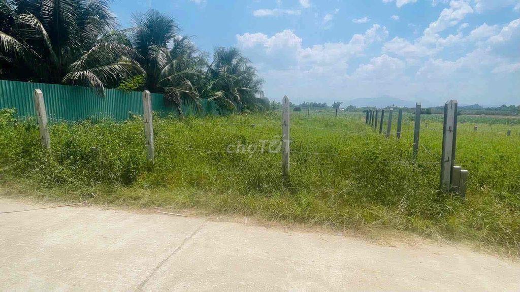 Đất Diên Thọ Khánh Hoà đường lớn đẹp hơn trăm m2 chỉ tiền trăm