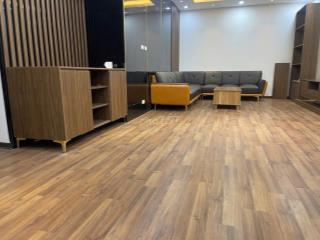 Chung cư Central Plaza, 91 Phạm Văn Hai - Căn góc 3PN Full NT giá 17tr