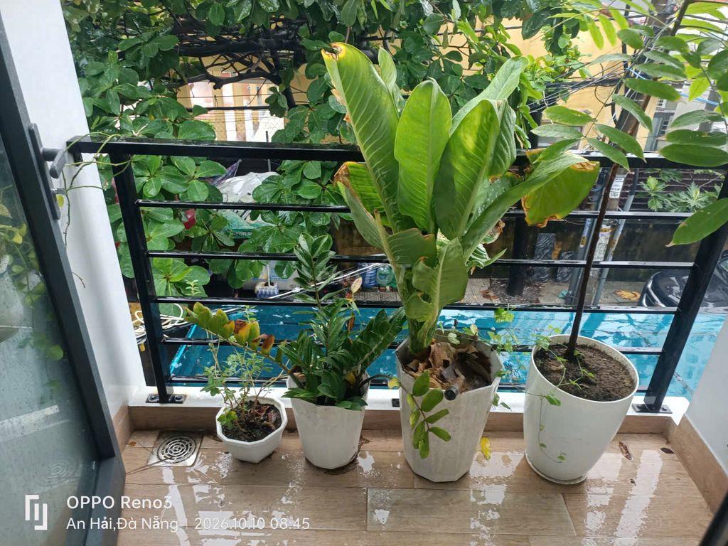 CHO THUÊ PHÒNG MẶT TIỀN TẦNG 2 — SỐ 51 AN TRUNG ĐÔNG 7
