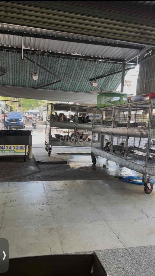 sang mb kinh doanh gà,vịt,trứng ngay góc ngã 4, 2 mặt tiền