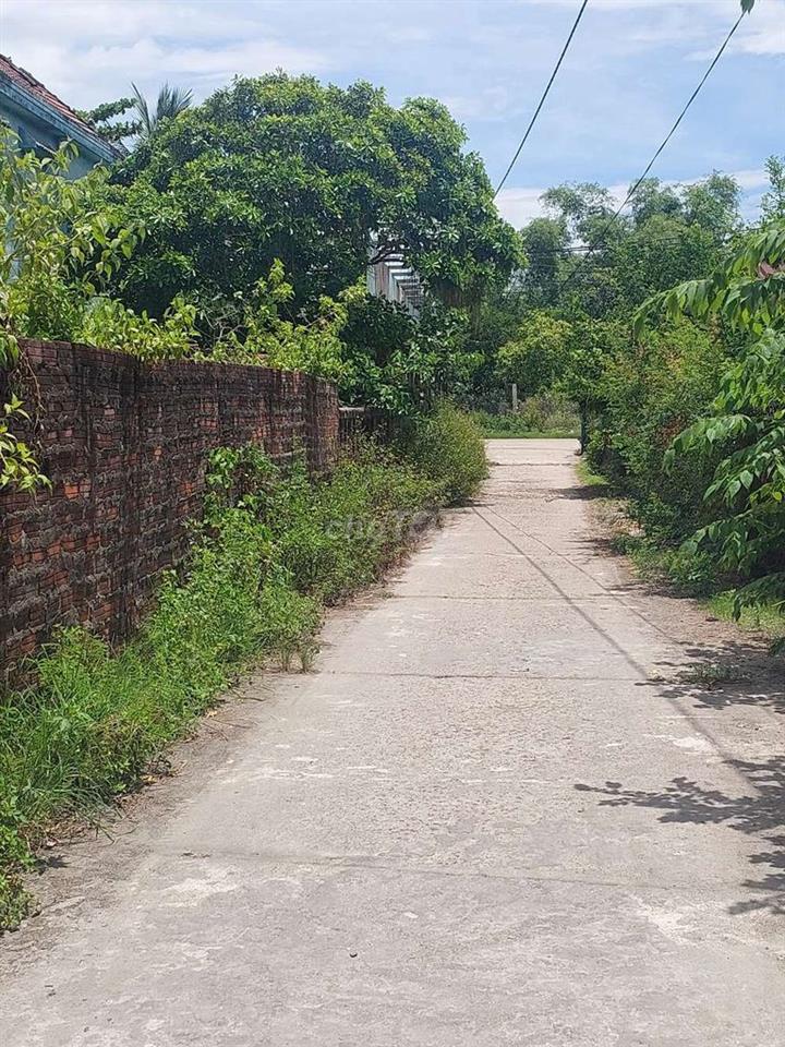 đất chính chủ 