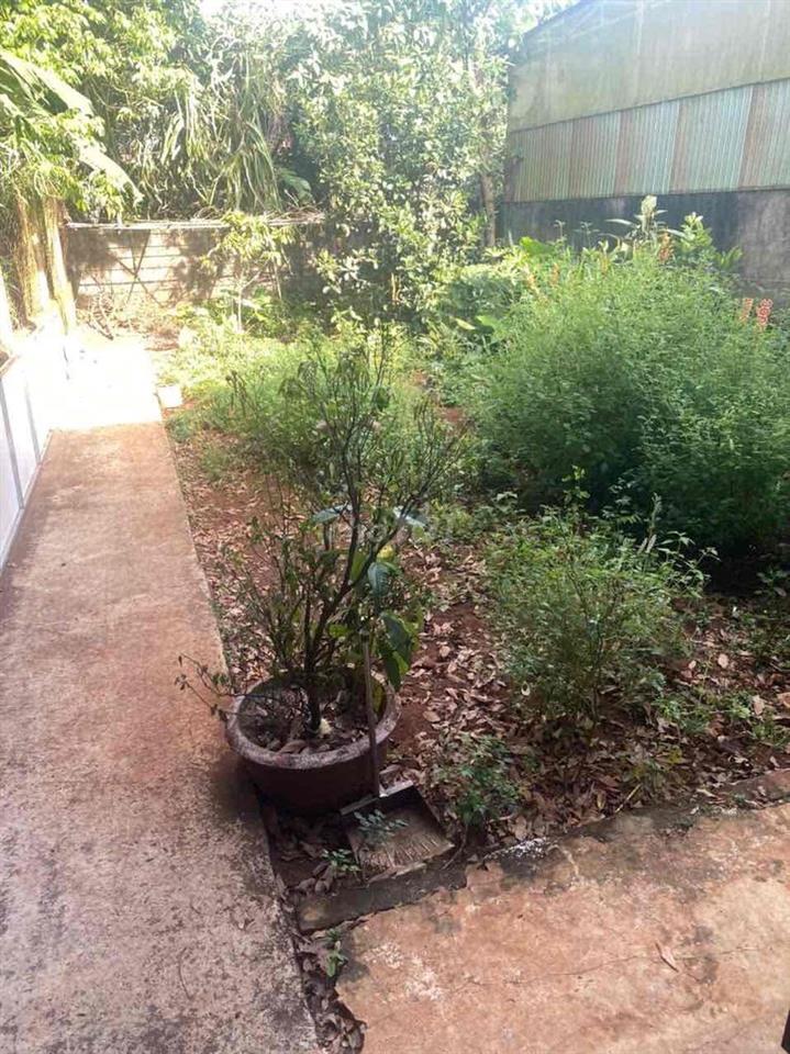 Nhà ngay Lê duẩn