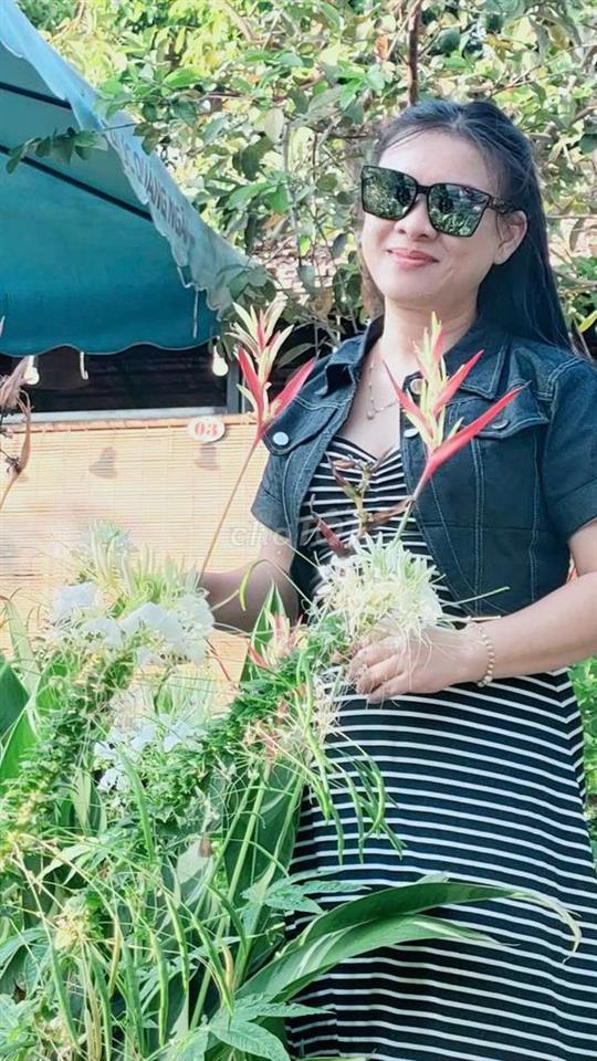 🌿 TÌM ĐỐI TÁC KHAI THÁC NHÀ VƯỜN 1 HECTA SÁT ĐỒI THÔNG ĐẮK BLAO